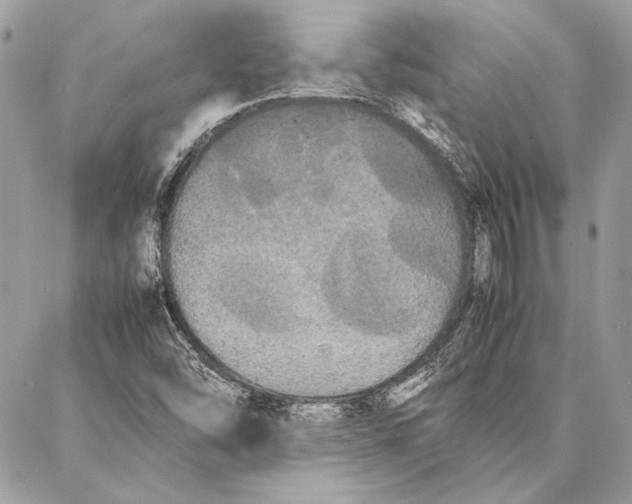 X0000086921454200705071316