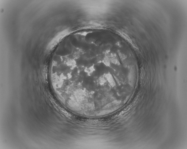 X0000086921455200705071316