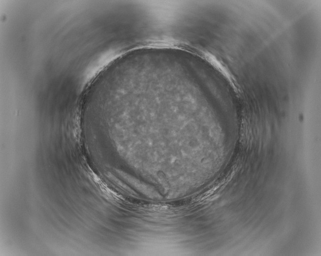 X0000086921456200705071316