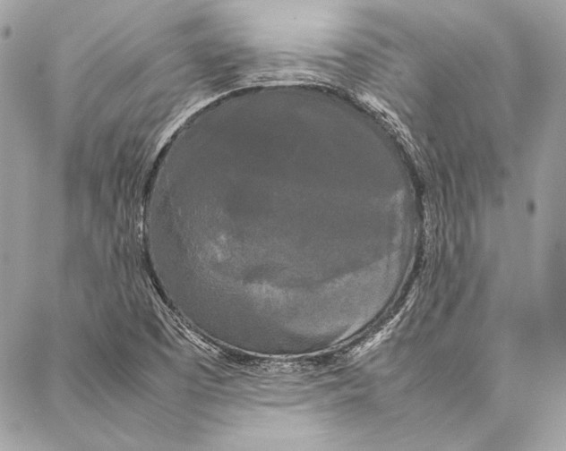 X0000086921457200705071316