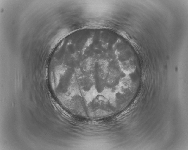 X0000086921459200705071316