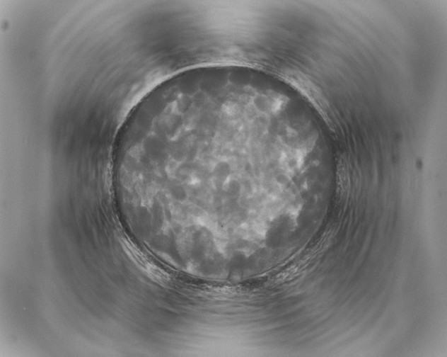 X0000086921460200705071316