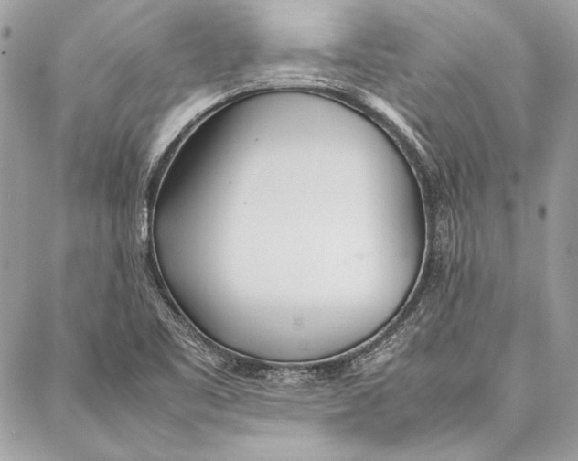 X0000086921461200705071316