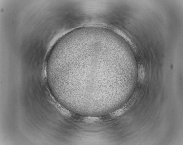 X0000086921462200705071316