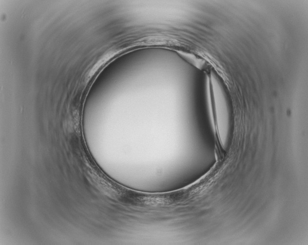 X0000086921465200705071316