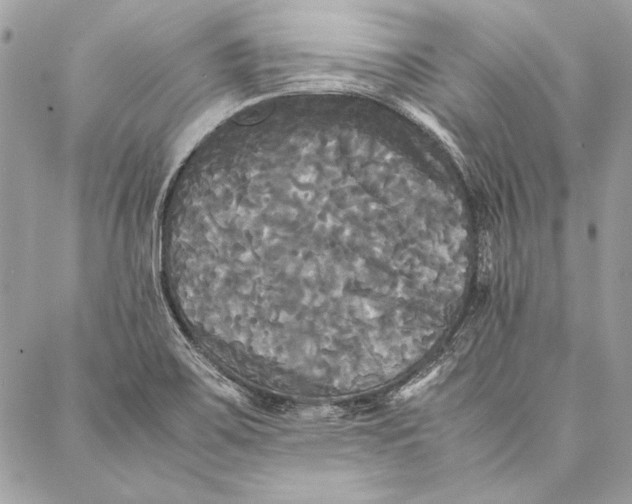 X0000086921467200705071316