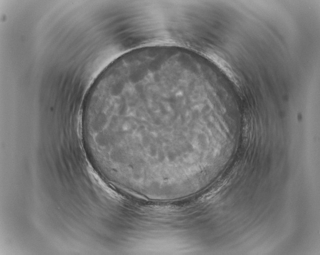 X0000086921468200705071316