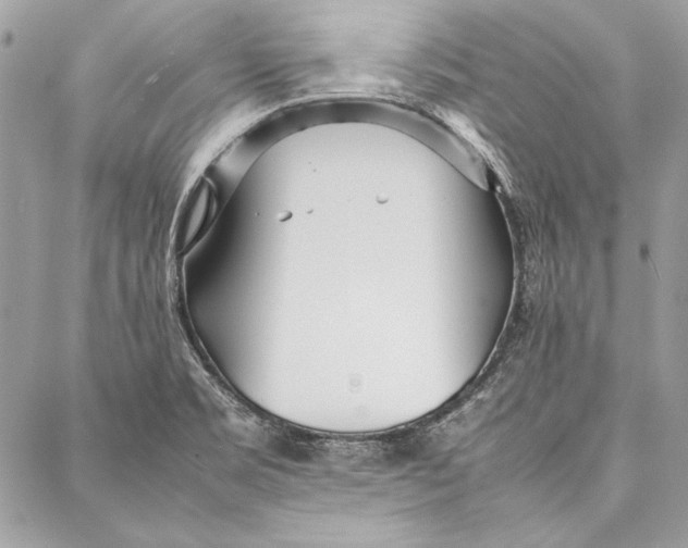 X0000086921469200705071316