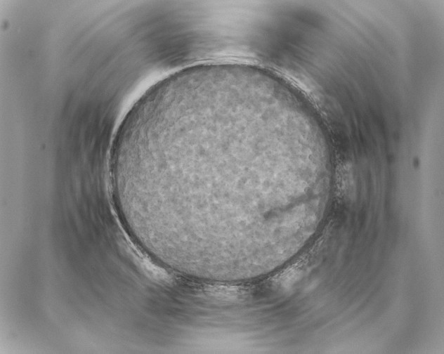 X0000086921470200705071316