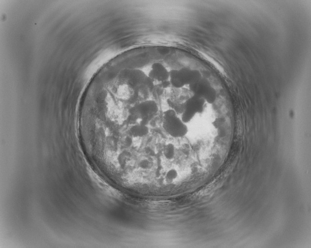 X0000086921471200705071316