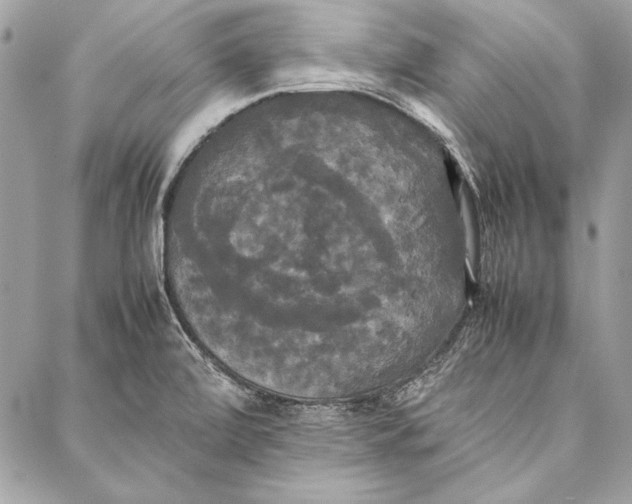 X0000086921472200705071316