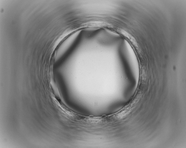 X0000086921473200705071316