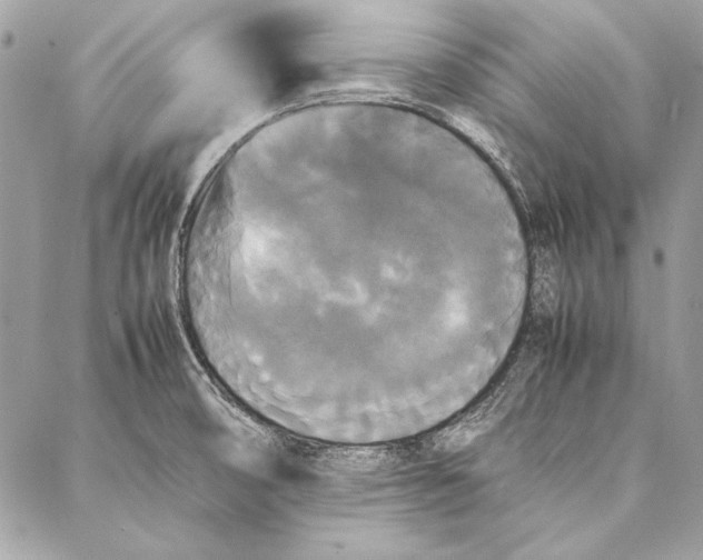 X0000086921474200705071315