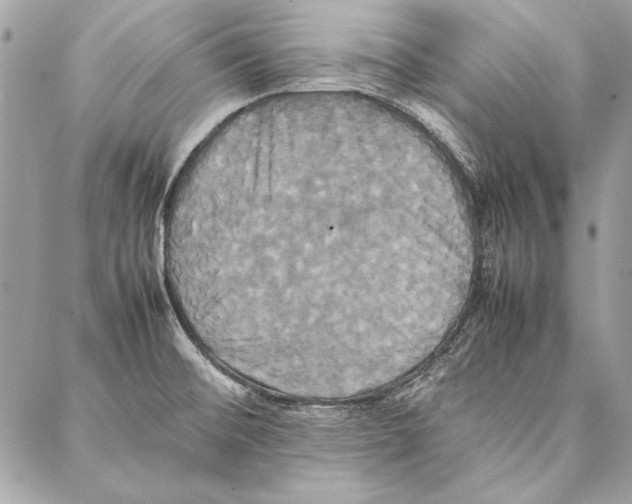 X0000086921476200705071315