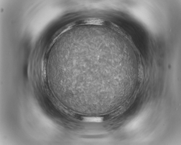 X0000086921487200705071315