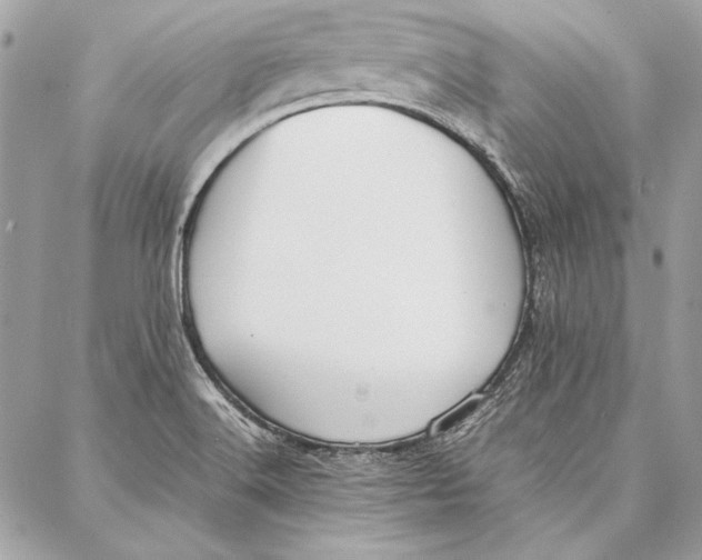 X0000086921516200705071315