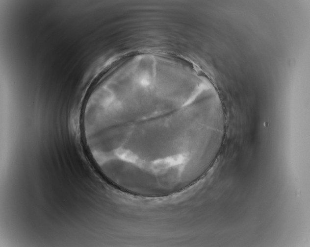 X0000086920002200705141731
