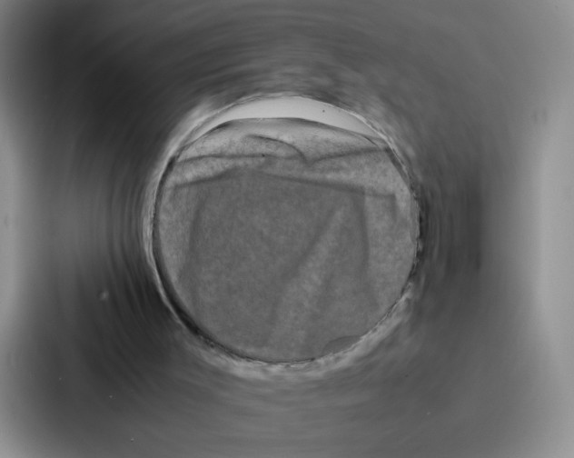 X0000086920003200705141731