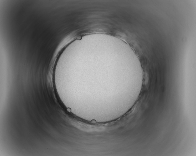 X0000086920004200705141731