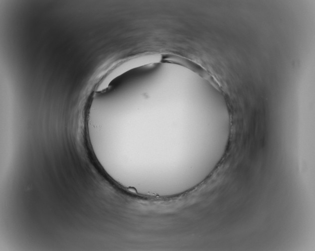 X0000086920005200705141731