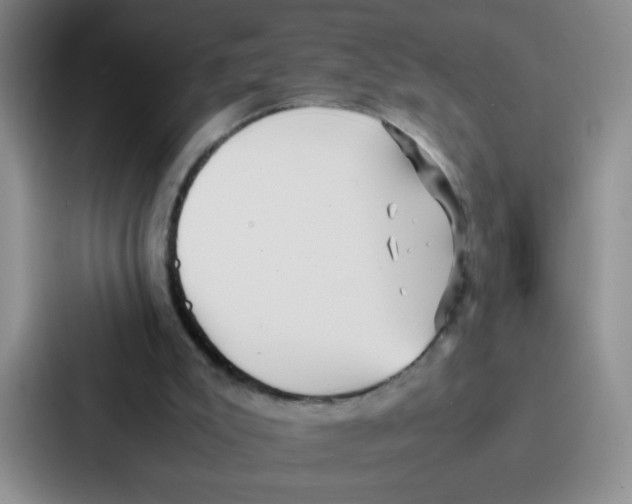 X0000086920007200705141731