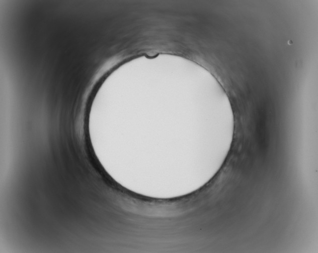 X0000086920008200705141731