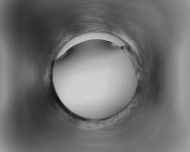 X0000086920009200705141731