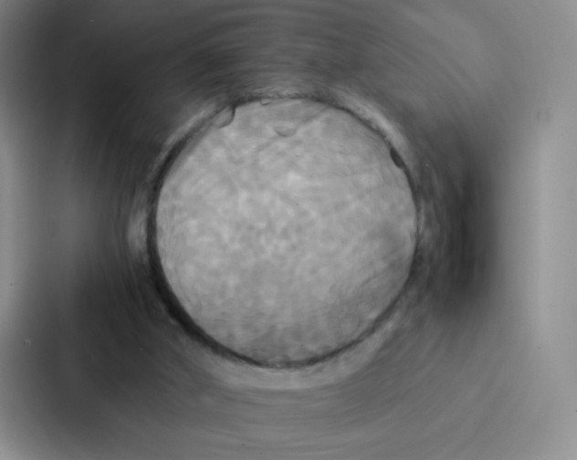 X0000086920010200705141731
