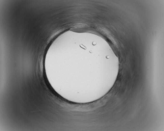 X0000086920011200705141731