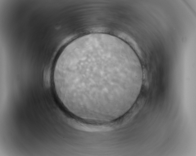 X0000086920012200705141731