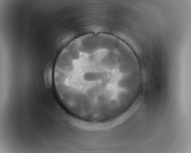 X0000086920014200705141731