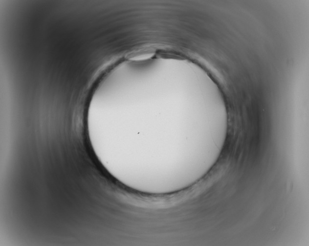 X0000086920015200705141731