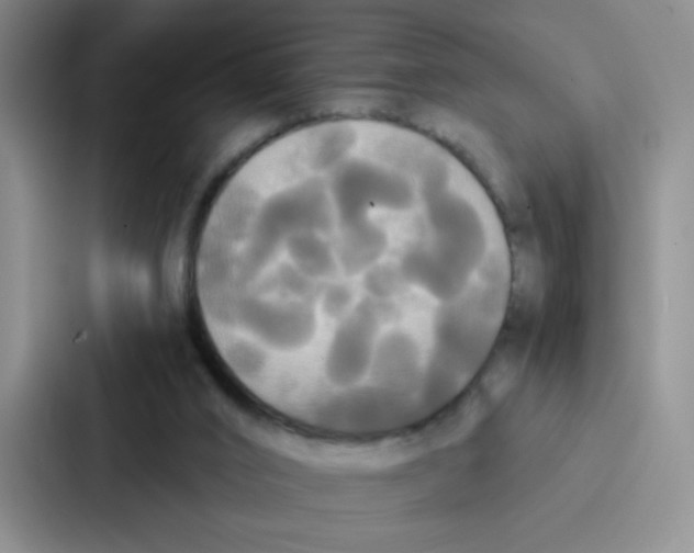 X0000086920016200705141731