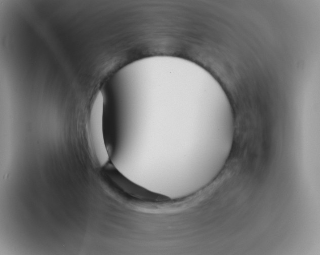 X0000086920017200705141731
