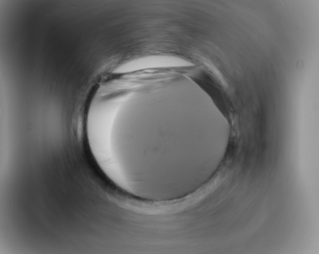 X0000086920019200705141731