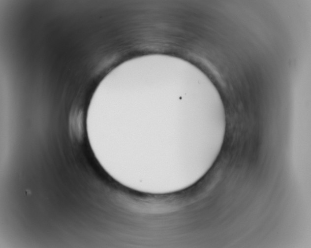 X0000086920020200705141731