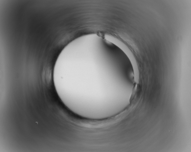 X0000086920021200705141731