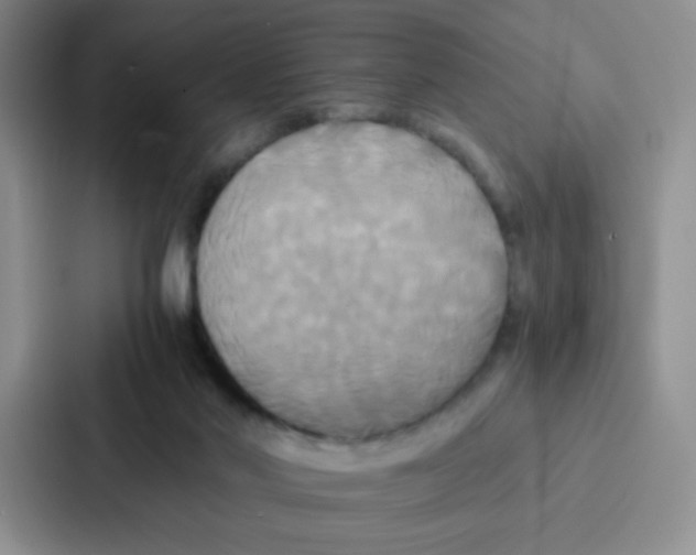 X0000086920022200705141731
