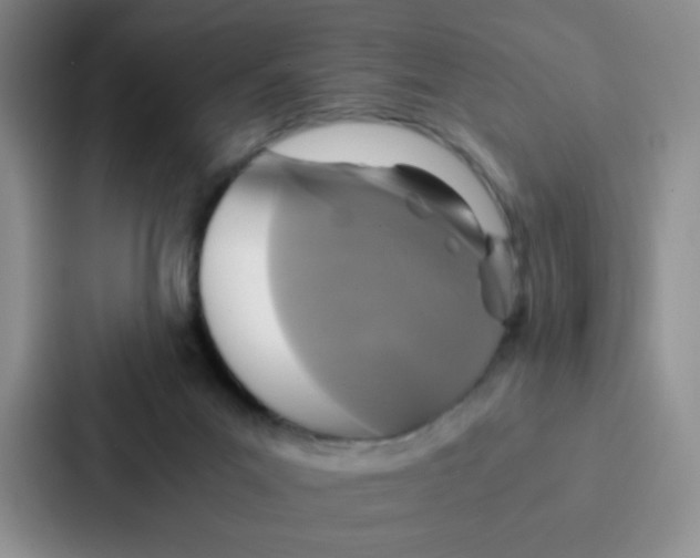 X0000086920023200705141731