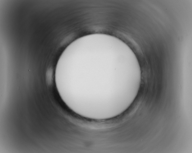 X0000086920024200705141731