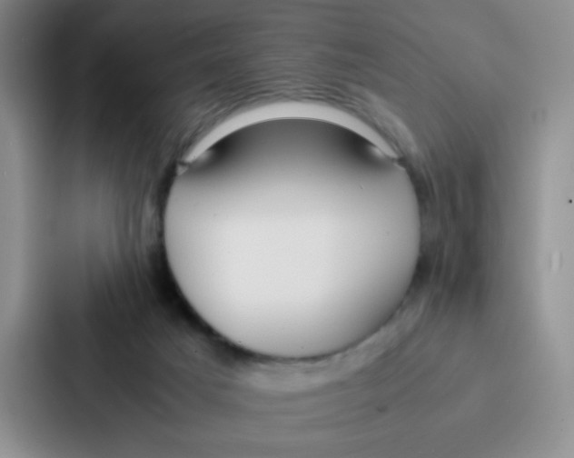 X0000086920025200705141731