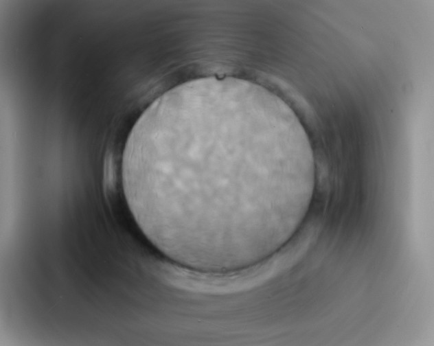 X0000086920026200705141731