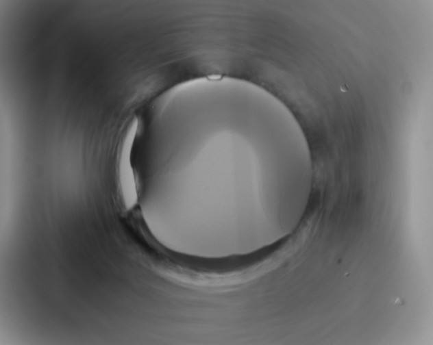 X0000086920027200705141731