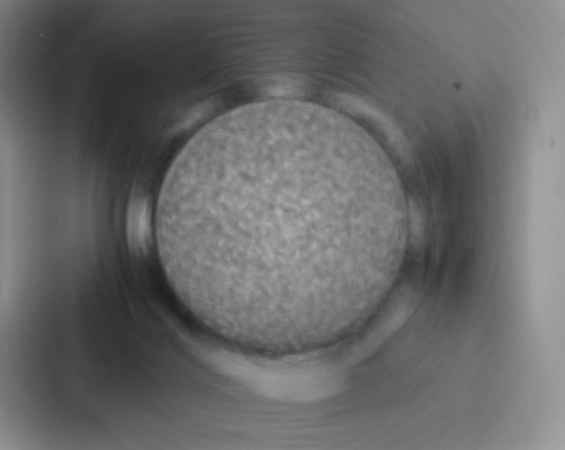 X0000086920028200705141731