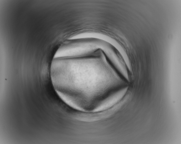 X0000086920029200705141731