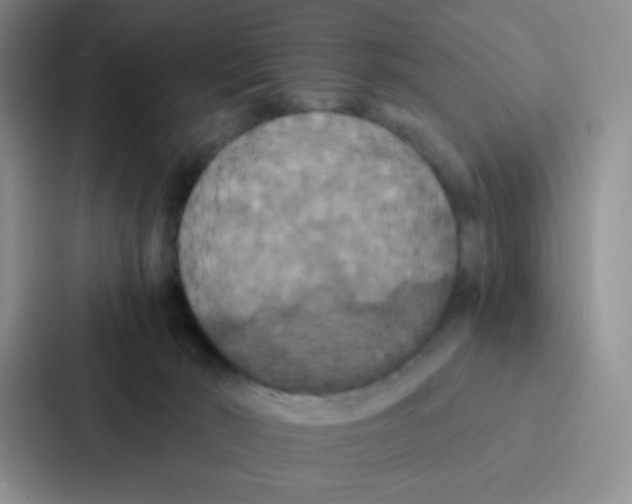 X0000086920030200705141731
