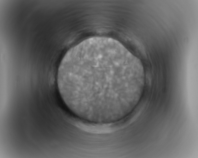 X0000086920032200705141731