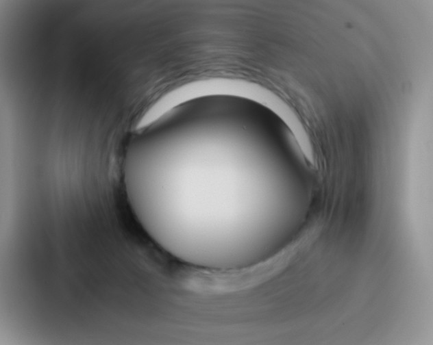 X0000086920033200705141731