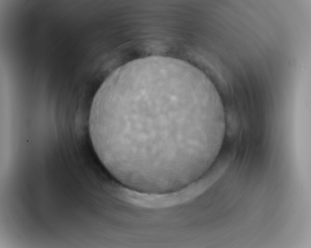 X0000086920034200705141731
