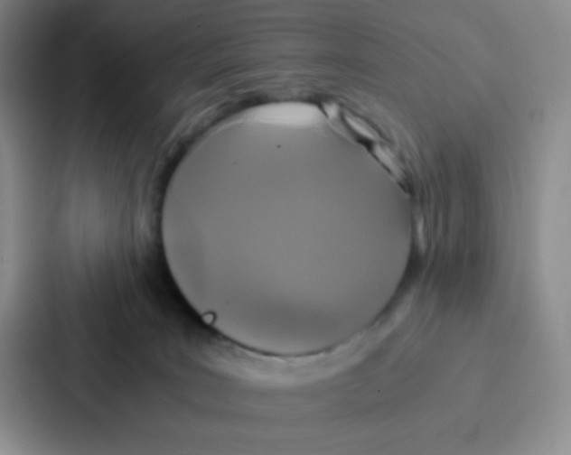 X0000086920035200705141731